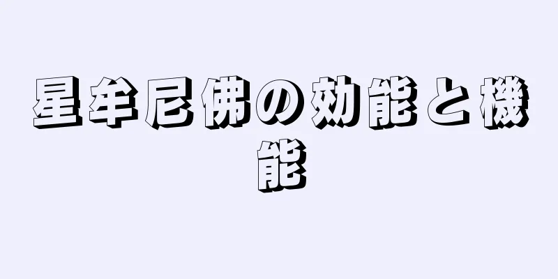 星牟尼佛の効能と機能
