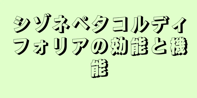 シゾネペタコルディフォリアの効能と機能