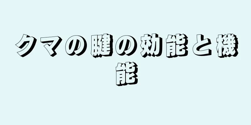 クマの腱の効能と機能