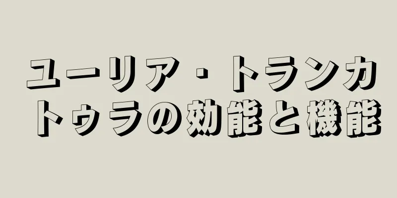 ユーリア・トランカトゥラの効能と機能