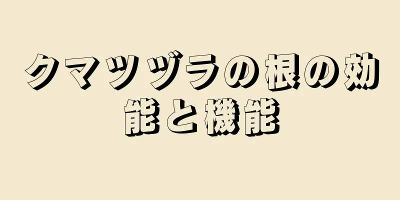 クマツヅラの根の効能と機能