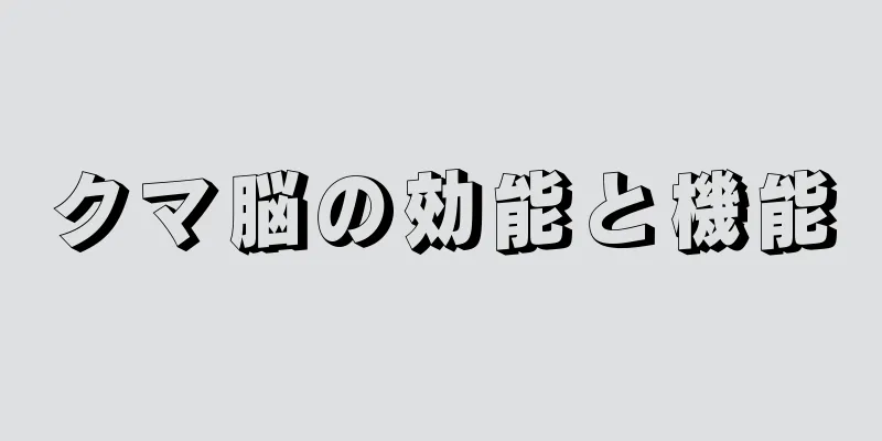 クマ脳の効能と機能