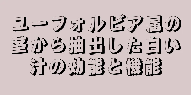 ユーフォルビア属の茎から抽出した白い汁の効能と機能
