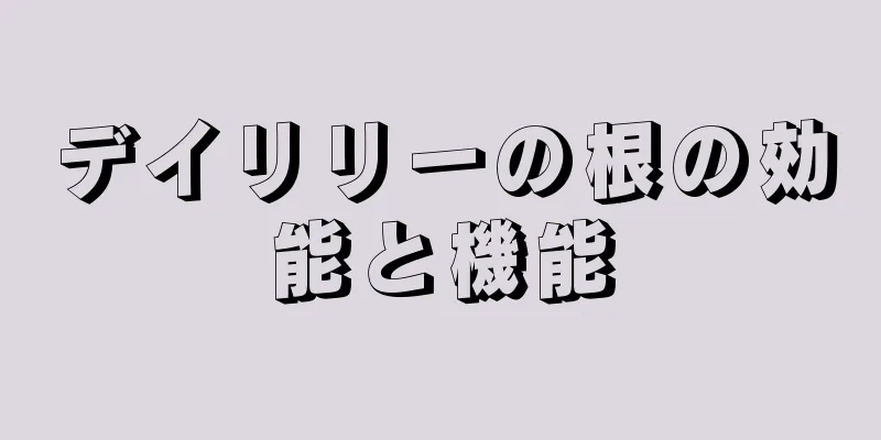 デイリリーの根の効能と機能