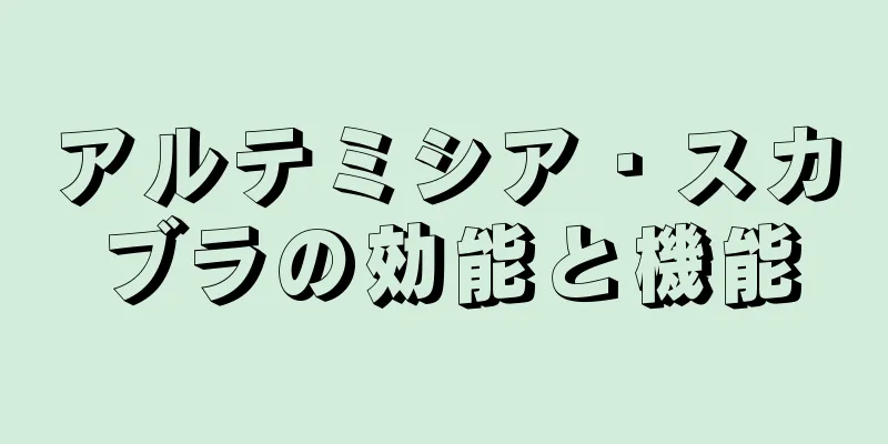 アルテミシア・スカブラの効能と機能