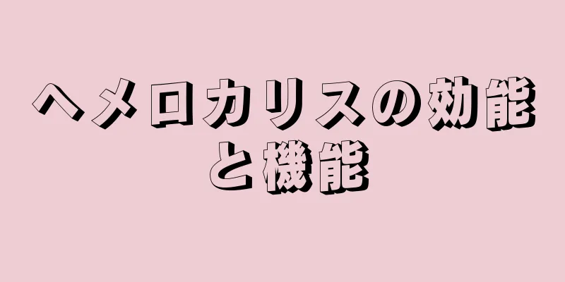 ヘメロカリスの効能と機能