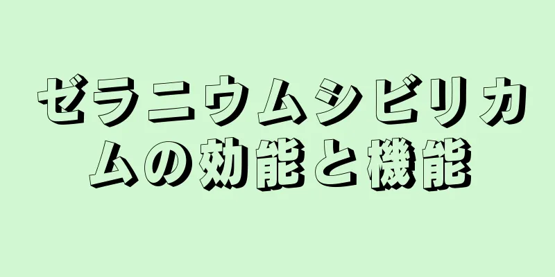 ゼラニウムシビリカムの効能と機能