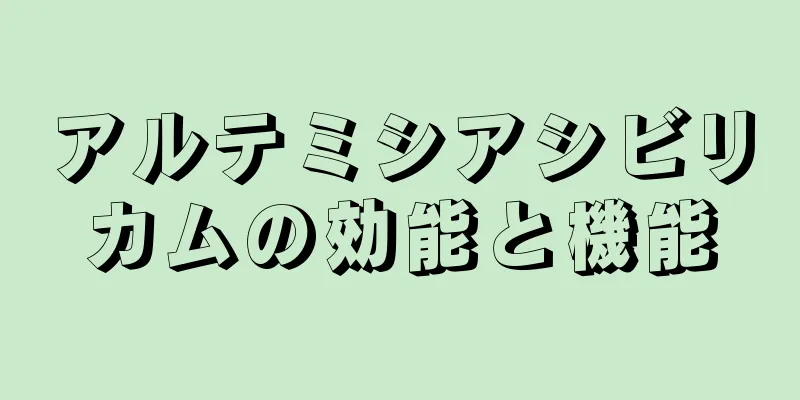 アルテミシアシビリカムの効能と機能