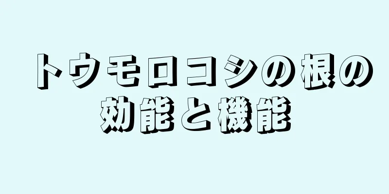 トウモロコシの根の効能と機能