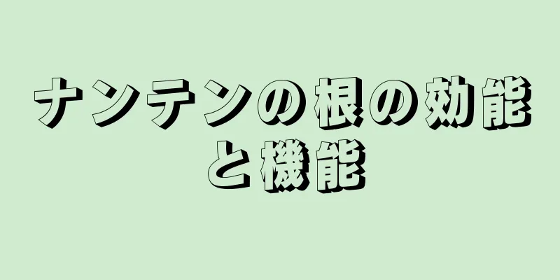 ナンテンの根の効能と機能