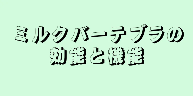 ミルクバーテブラの効能と機能