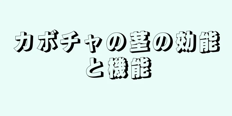 カボチャの茎の効能と機能