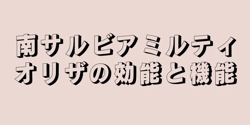 南サルビアミルティオリザの効能と機能