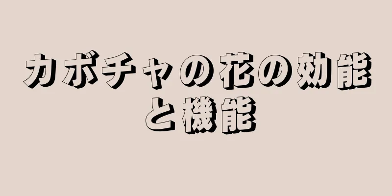 カボチャの花の効能と機能