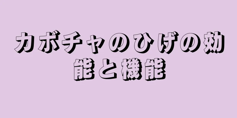 カボチャのひげの効能と機能