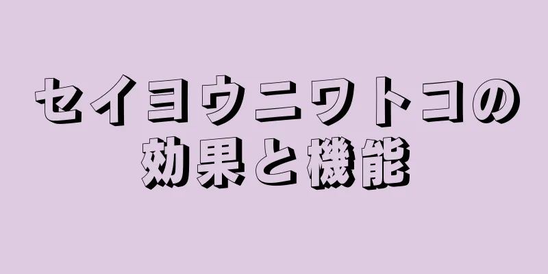 セイヨウニワトコの効果と機能