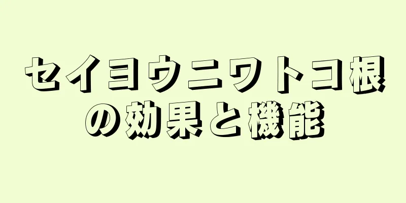 セイヨウニワトコ根の効果と機能