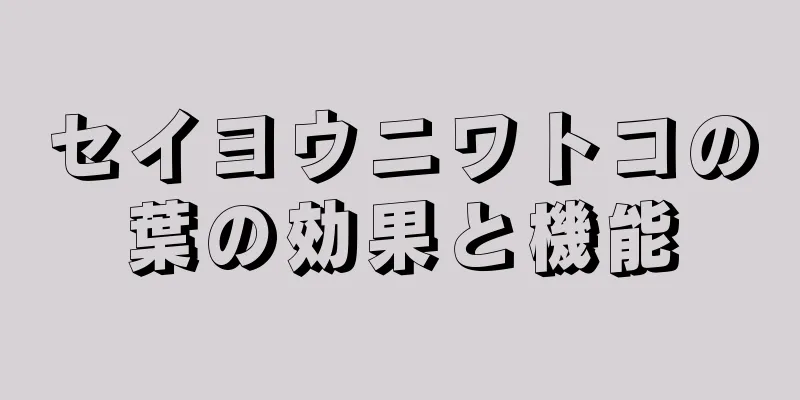 セイヨウニワトコの葉の効果と機能