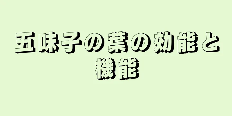 五味子の葉の効能と機能
