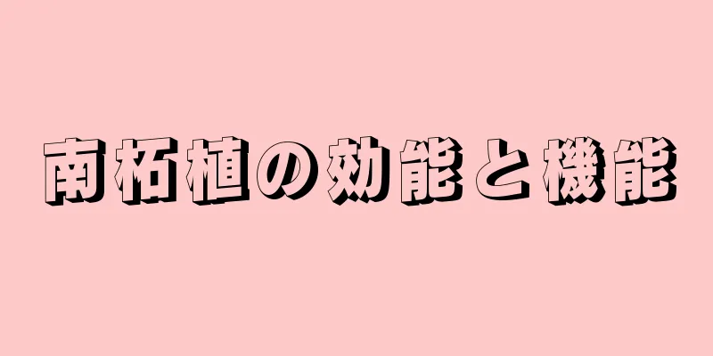 南柘植の効能と機能