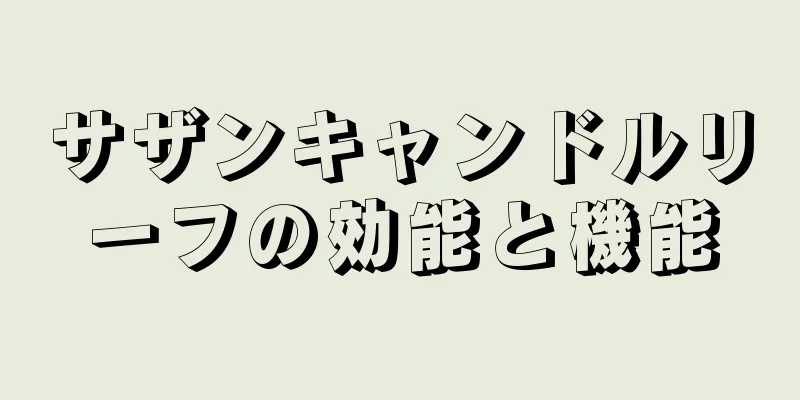サザンキャンドルリーフの効能と機能
