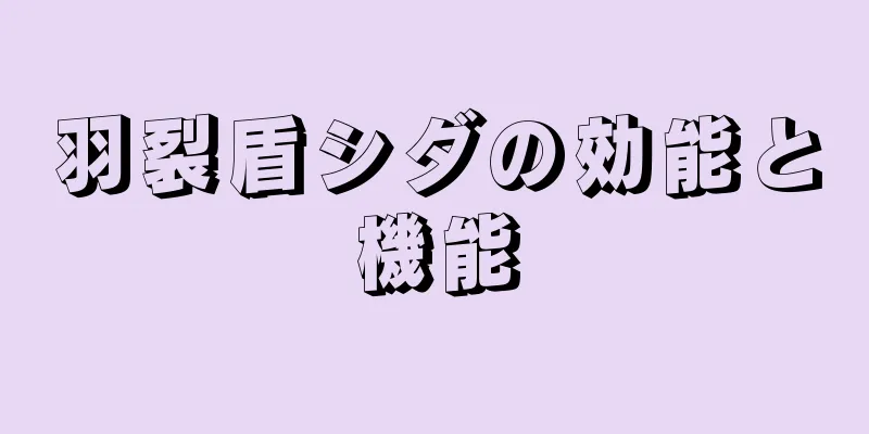 羽裂盾シダの効能と機能