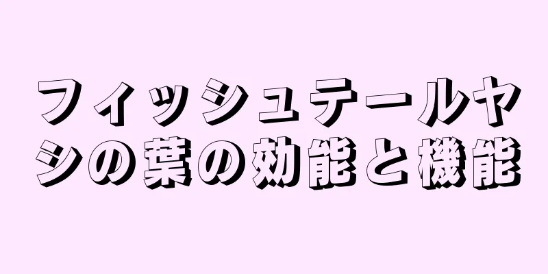 フィッシュテールヤシの葉の効能と機能