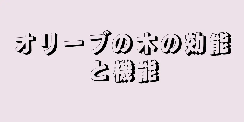 オリーブの木の効能と機能