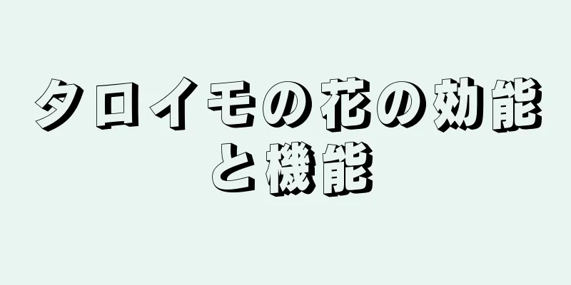 タロイモの花の効能と機能