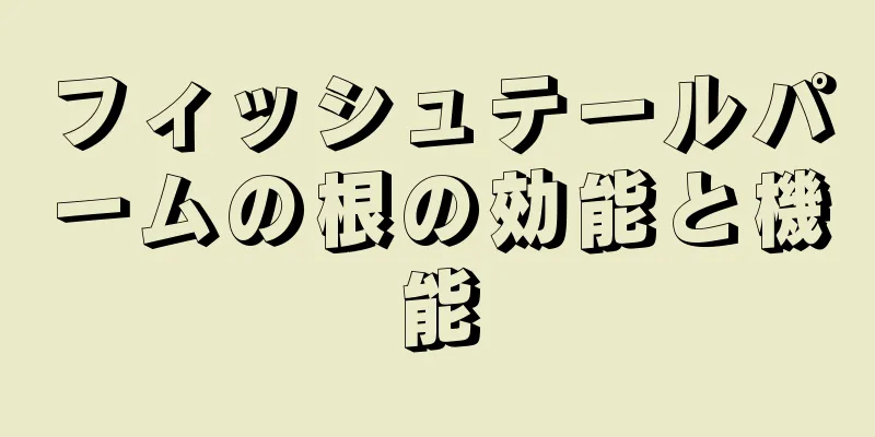 フィッシュテールパームの根の効能と機能