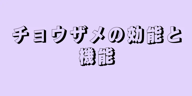 チョウザメの効能と機能