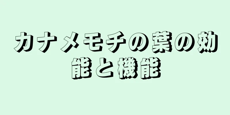 カナメモチの葉の効能と機能