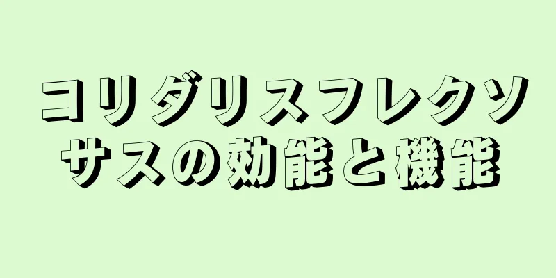 コリダリスフレクソサスの効能と機能