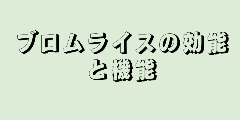 ブロムライスの効能と機能