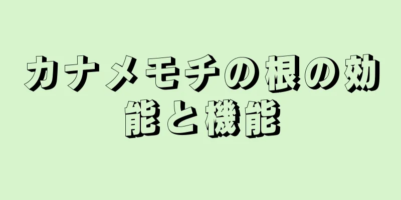 カナメモチの根の効能と機能