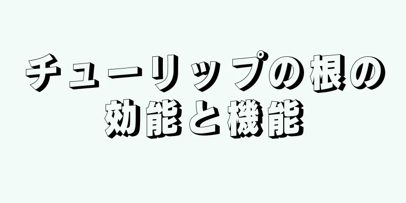チューリップの根の効能と機能