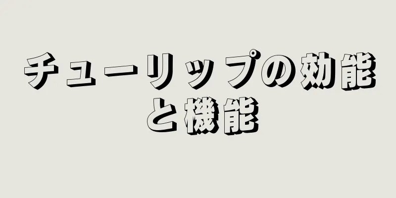 チューリップの効能と機能