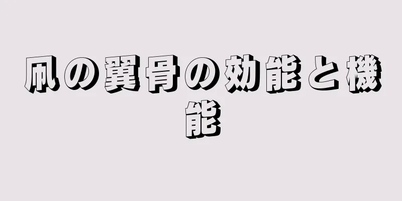 凧の翼骨の効能と機能