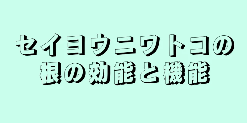 セイヨウニワトコの根の効能と機能
