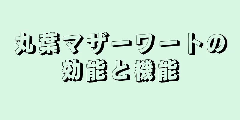 丸葉マザーワートの効能と機能