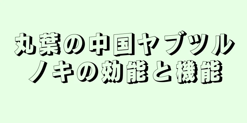 丸葉の中国ヤブツルノキの効能と機能