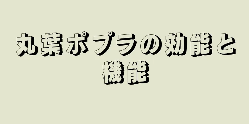 丸葉ポプラの効能と機能