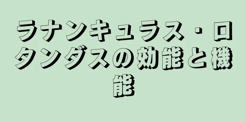 ラナンキュラス・ロタンダスの効能と機能