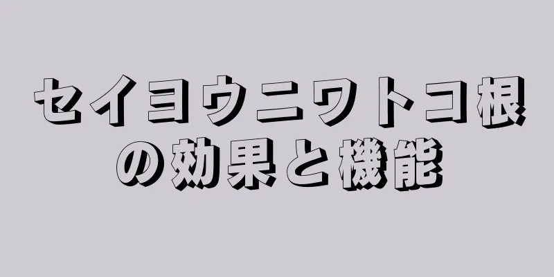 セイヨウニワトコ根の効果と機能
