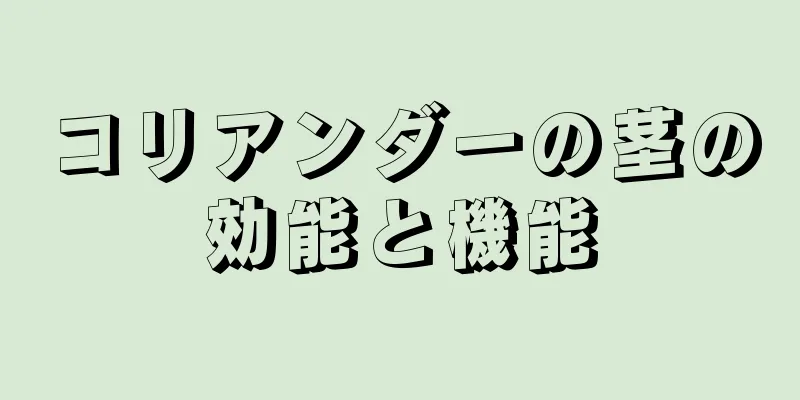 コリアンダーの茎の効能と機能