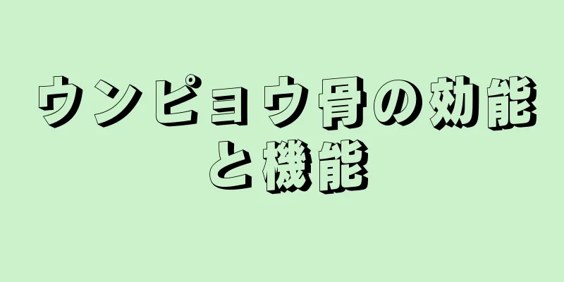 ウンピョウ骨の効能と機能