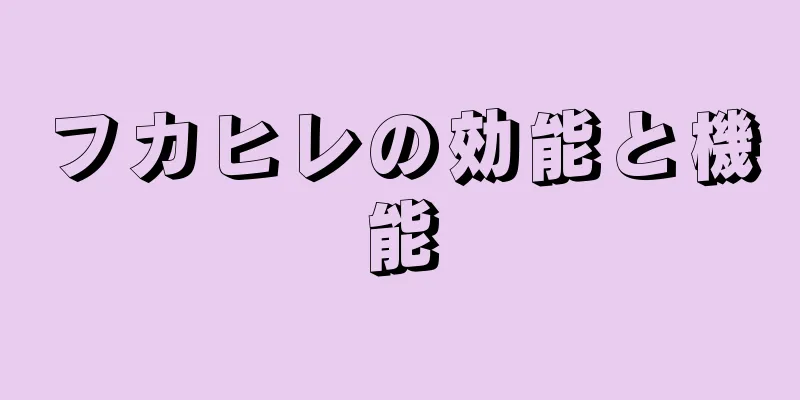 フカヒレの効能と機能