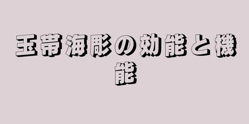玉帯海彫の効能と機能