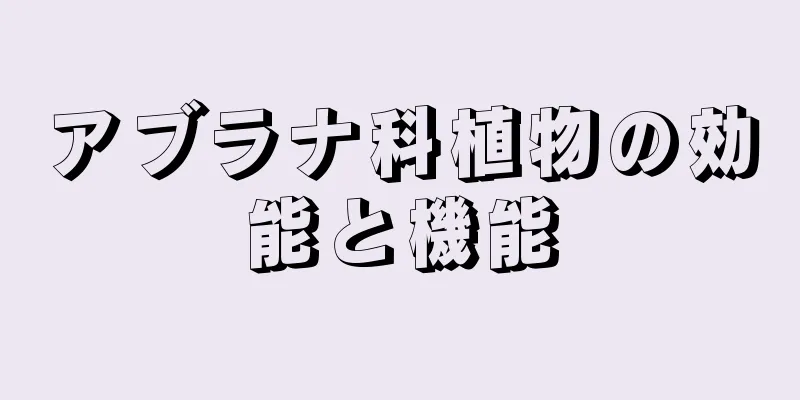 アブラナ科植物の効能と機能