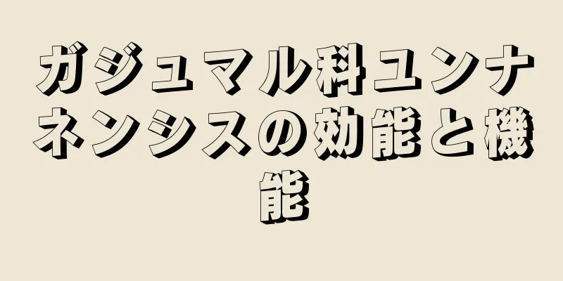 ガジュマル科ユンナネンシスの効能と機能